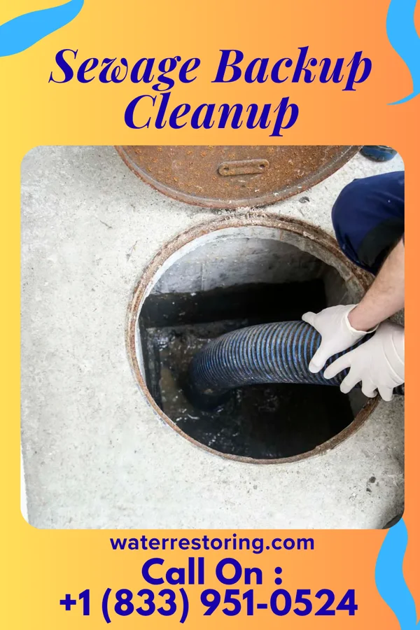 Sewage Backup Cleanup in Mission Hills, KS
