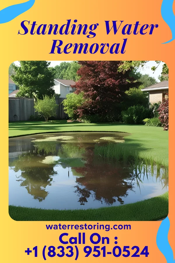 Standing Water Removal in Mission Hills, KS